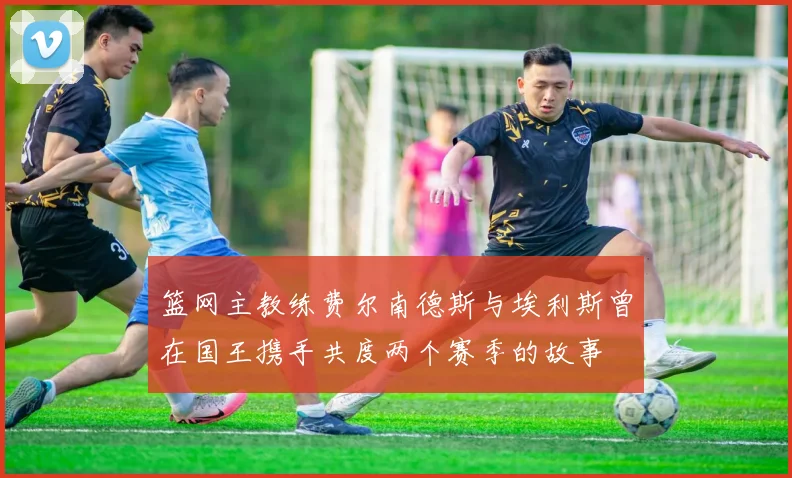 篮网主教练费尔南德斯与埃利斯曾在国王携手共度两个赛季的故事